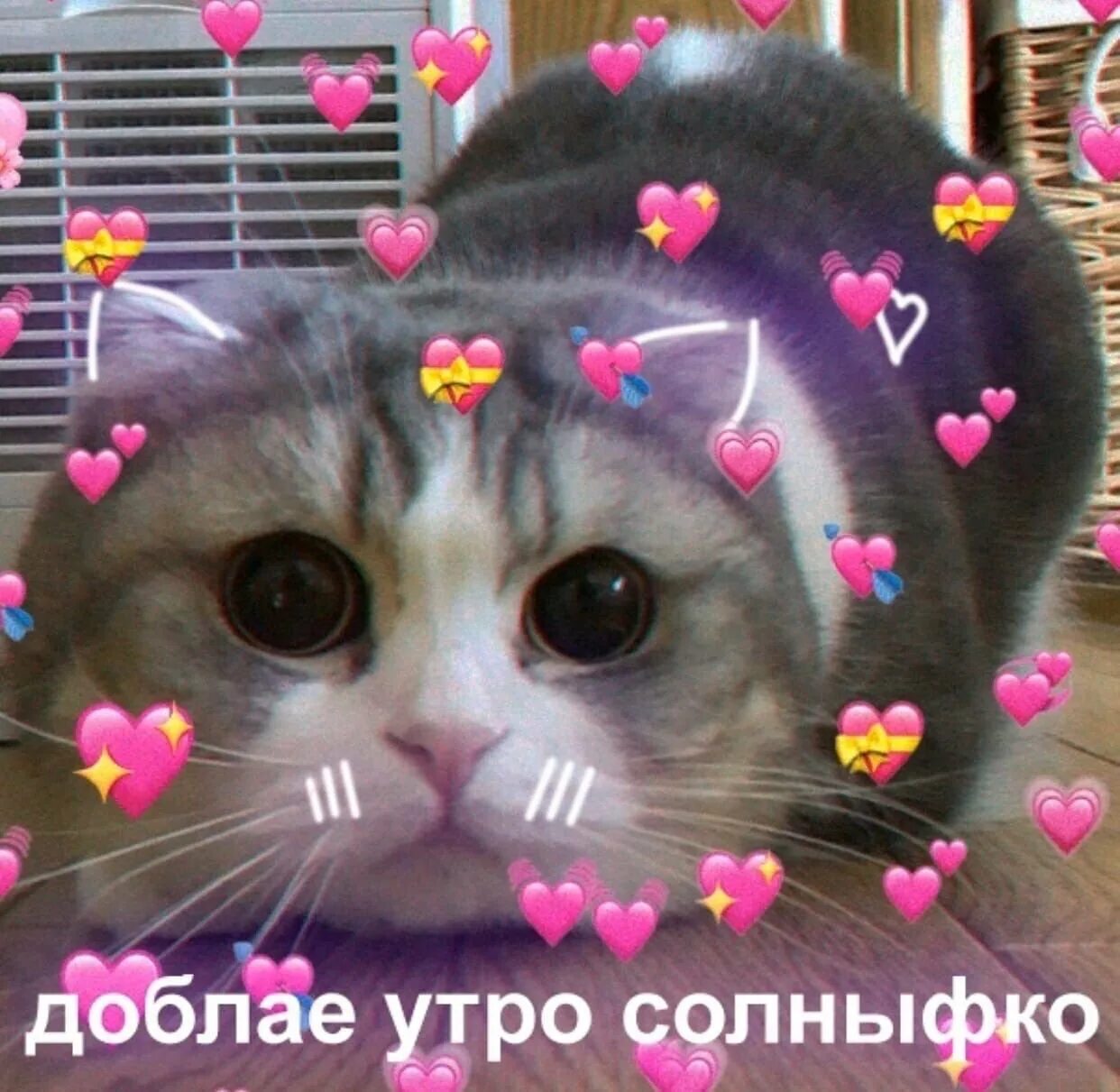 Разбудил милашку