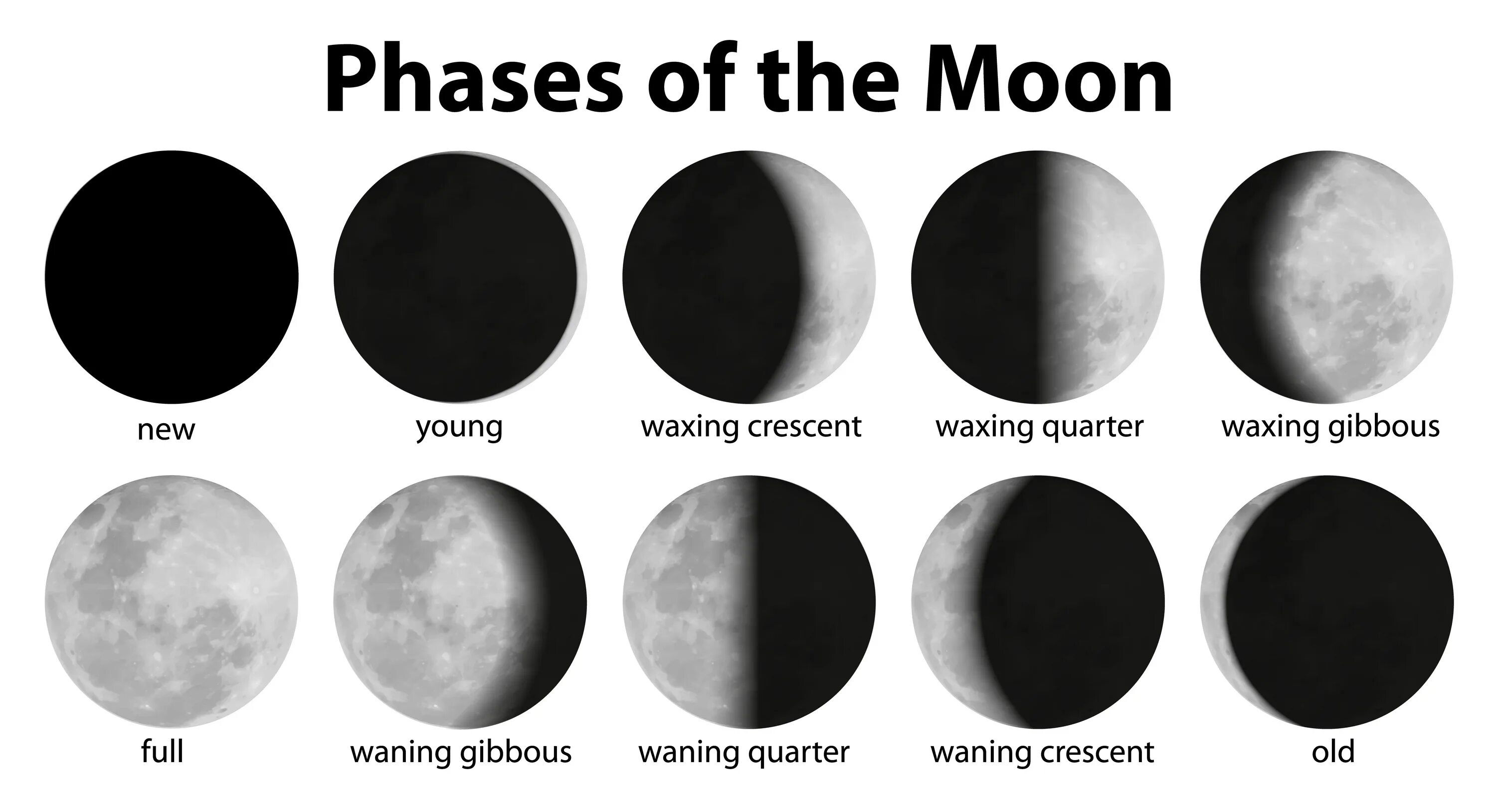 Как переводится мун. Фазы Луны phases of the Moon. Waxing Gibbous Moon. Луна картинки. Фазы Луны вектор.