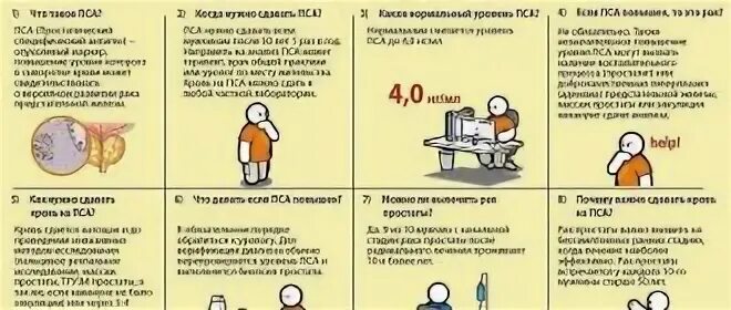 Как сдавать кровь на пса мужчине правильно. Норма пса у мужчин. Анализ крови на пса что это такое для мужчин расшифровка. Нормы анализа крови на пса у мужчин норма. Пса общий анализ для мужчин расшифровка.