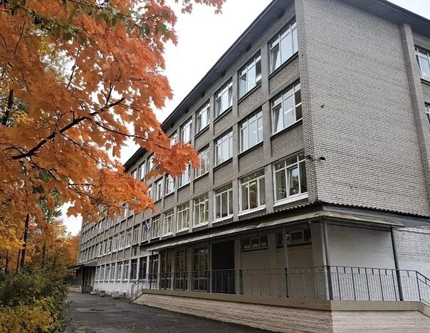 Школа 477 питер. 477 школа пушкина. 477 школа пушкина. 530 школа пушкин. Школа 477 питер.
