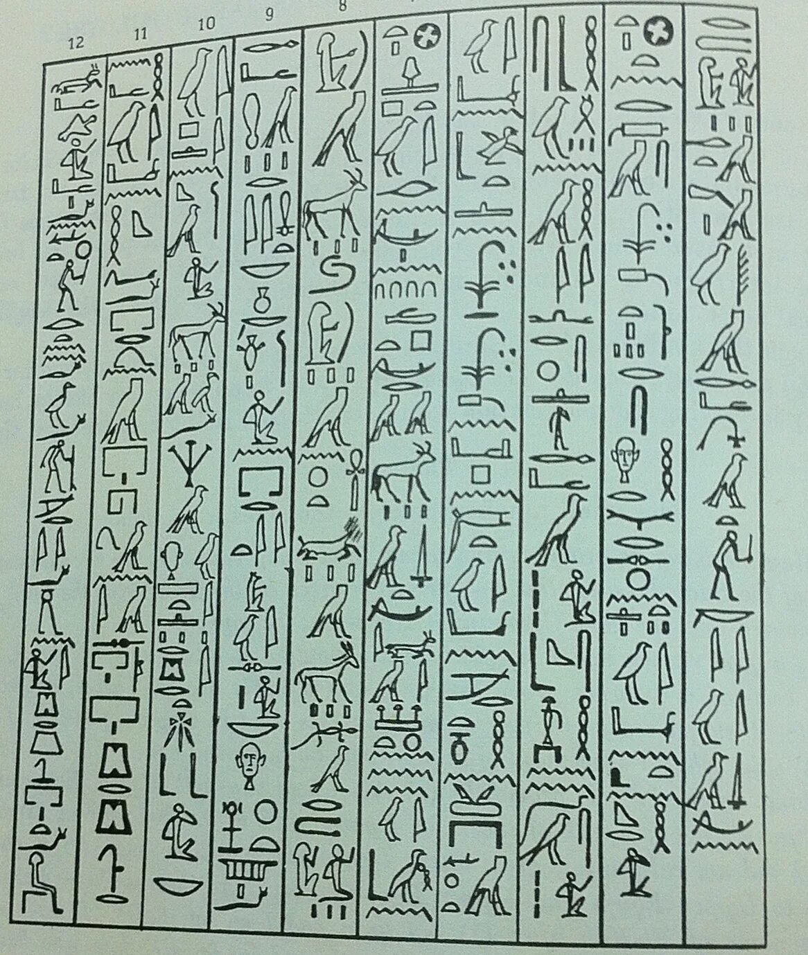 Древнейшие письмена 4 буквы. Египетское иероглифическое алфавит. Алфавит древногоегипта. Древнеегипетский язык алфавит. Древний Египетский алфавит.