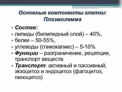 Основные элементы клеток и характеристика