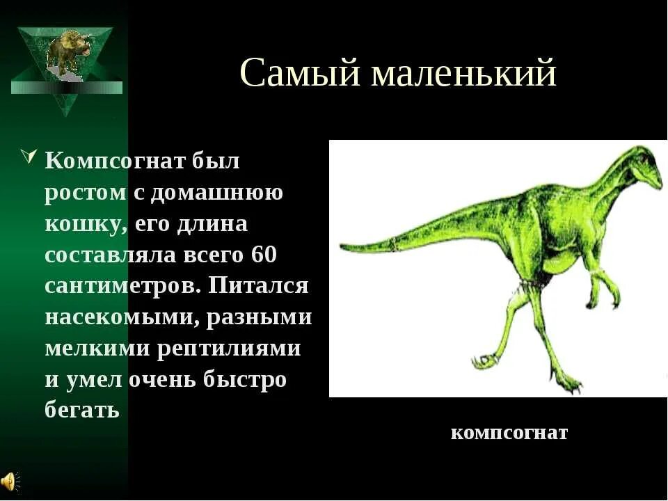 Сообщение о динозаврах 1. Доклад про динозавров. Сообщение о динозаврах. Описание динозавров. Доклад на тему динозавры.