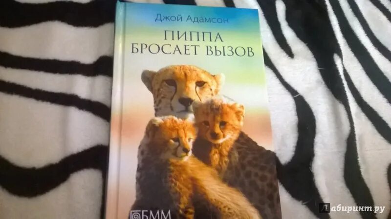 Книга брошенный вызов