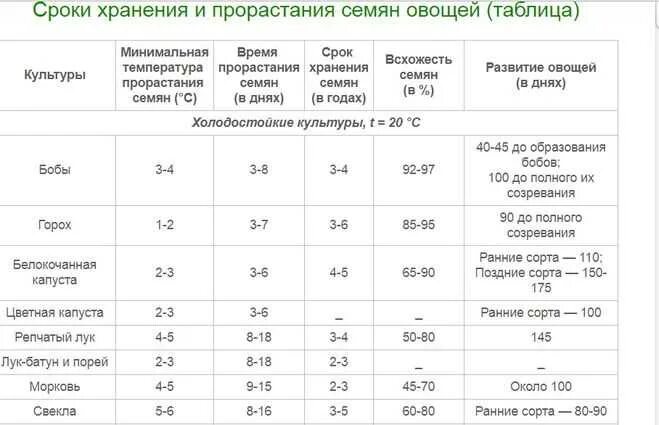 Как проверить всхожесть огурцов