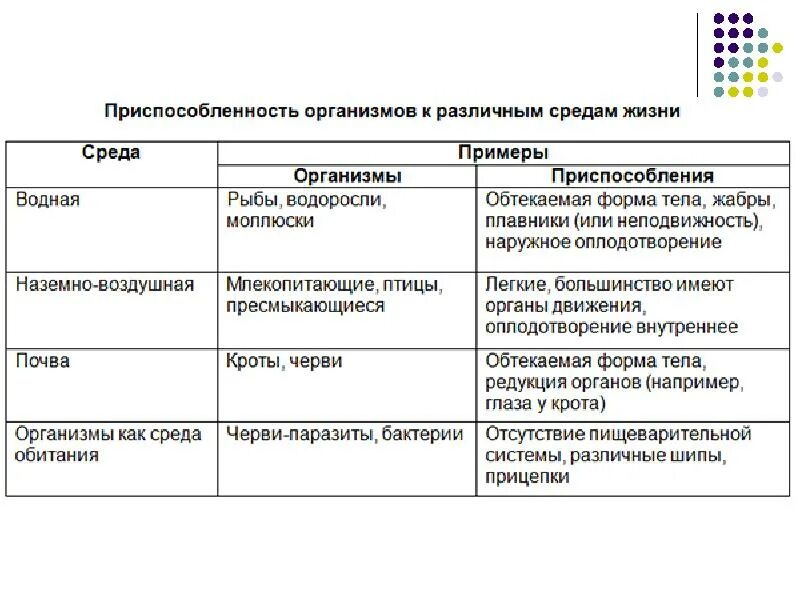 Пример адаптации организмы таблица