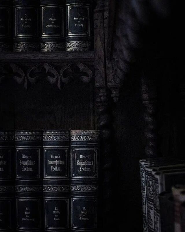 Мрачный писатель. Эстетика Слизерина Dark. Темная Эстетика. Книжная Эстетика темная. Библиотека в готическом стиле.