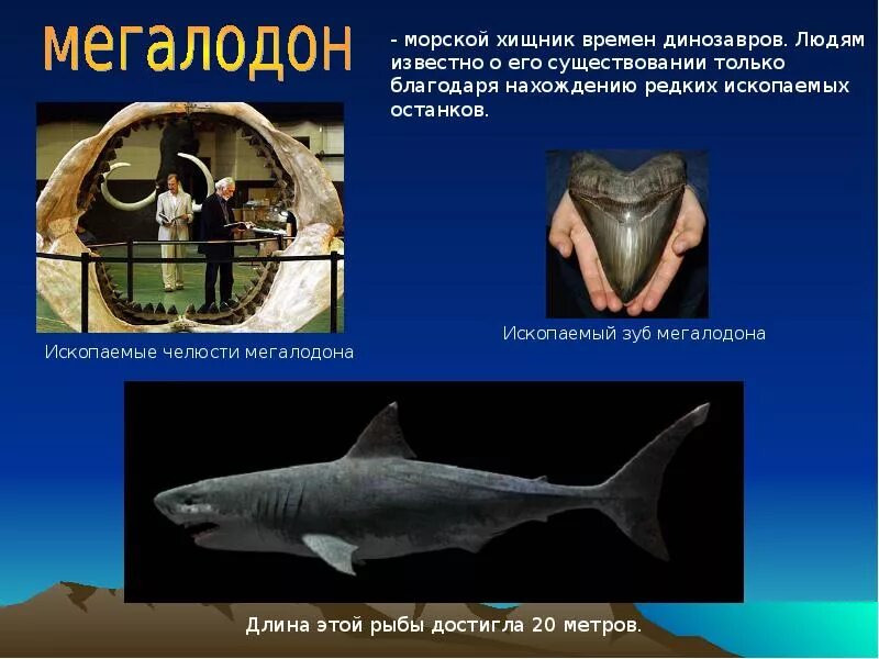 Парменид философия бытия. Фразы великих людей. Цитаты со смыслом. Доказательства бытия бога. Умные цитаты.