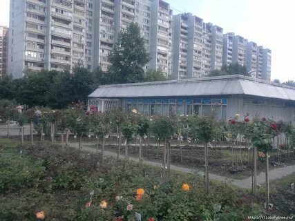 Мир увлечений отрадное