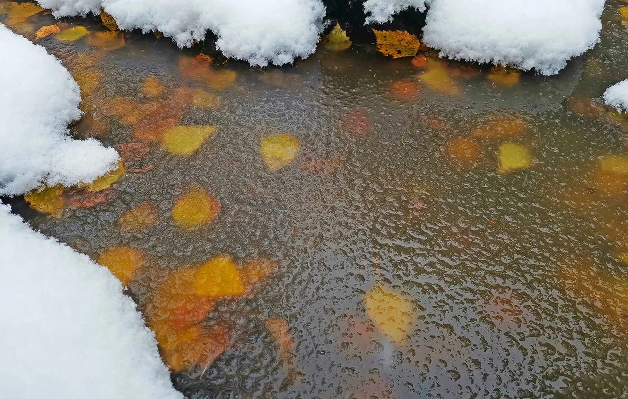 Пестрый снег. Рыхлый снег. Рыхлый снег картинка. Ручей был покрыт толстым снеговым одеялом. Осенью снег рыхлый или плотный.