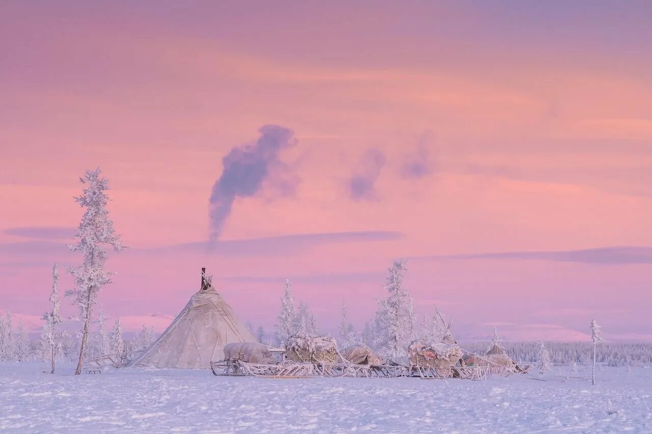 Что ассоциируется с севером. Неофициальные символы сша. Север тематика. Северное сияние на ямале. Атрибуты америки.