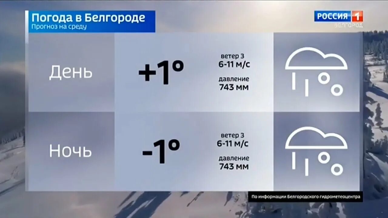 Прогноз погоды белгород февраль. Погода в Белгороде. Погода в Белгородской области. Погода в Белгороде Белгородской. Погода в Белгороде сегодня.