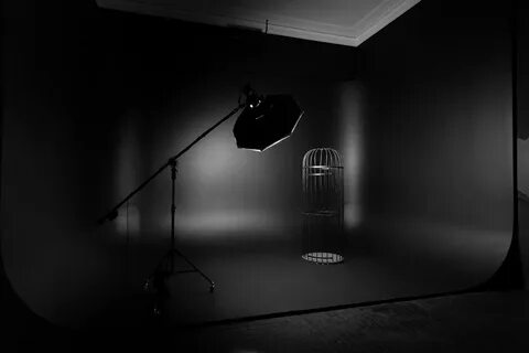 Black studio