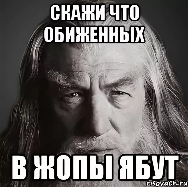 Мем про обиженных. Что делают с обиженными. На обиженных. Обиженки мемы. Как поступать с обиженными