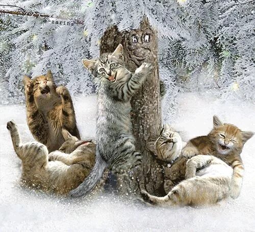День кошек февраль. День кошек. День кошек анимация. День кошек открытки прикольные.