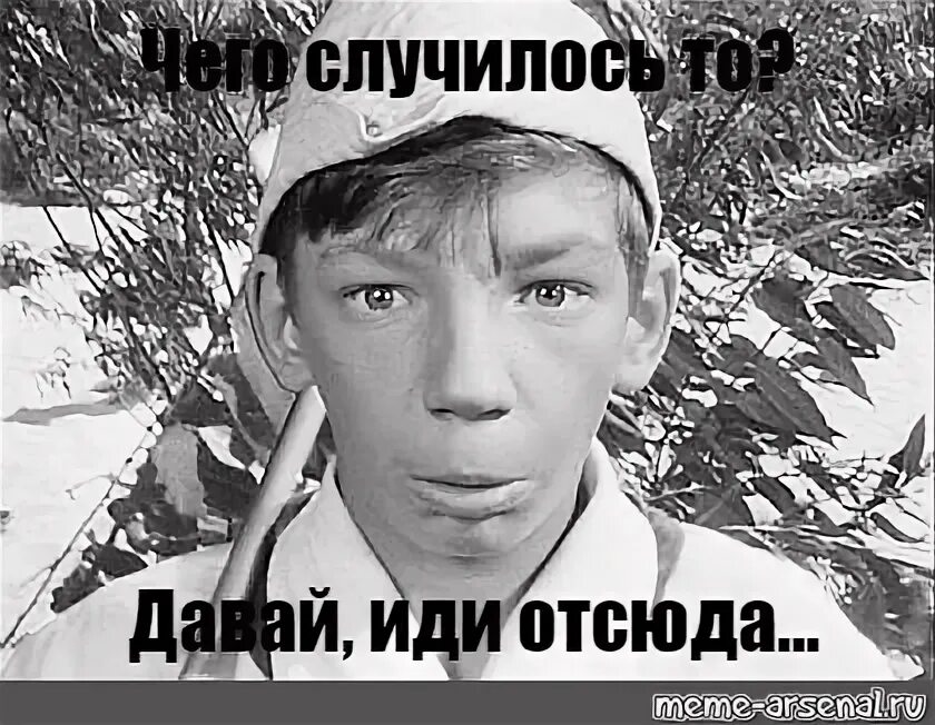 Бездельник мем. Работай мем. Кот пидрила. Мем с котом работай. А чего вы тут делаете.