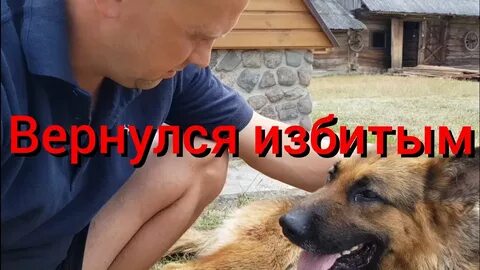Видеоролики последние ютуб