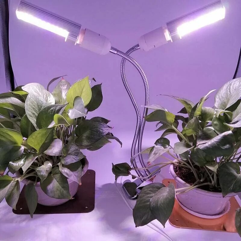 Выключать ли фитолампу на ночь. Лампы досветки. Фитолампа Гелиос-21. Фитолампа фотосинтез-45. Лампа для комнатных растений.