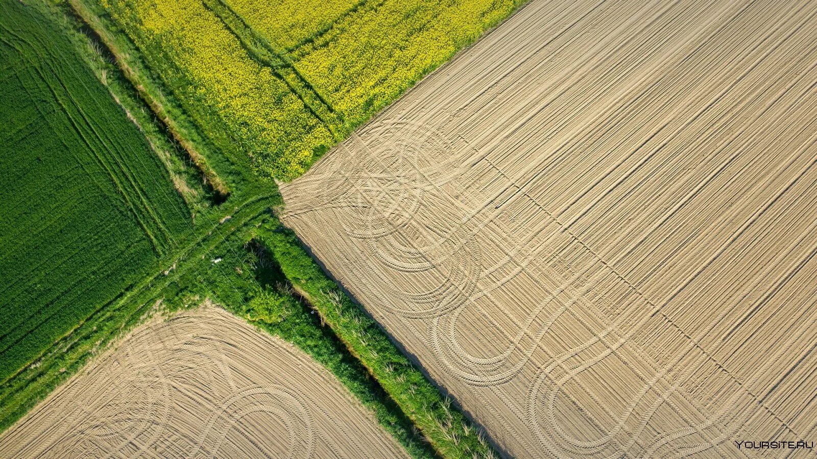 Паданская низменность в италии. Поля. Поле вид. Поле вид. Красивый вид поля.