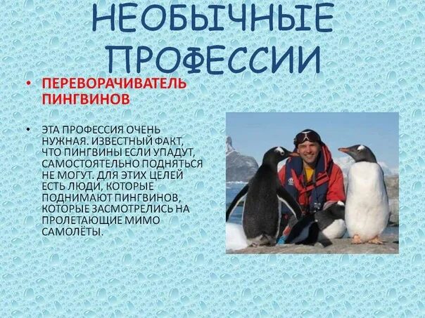 Редкие и необычные профессии. Необычные профессии. редкие профессии. самые необычные профессии.
