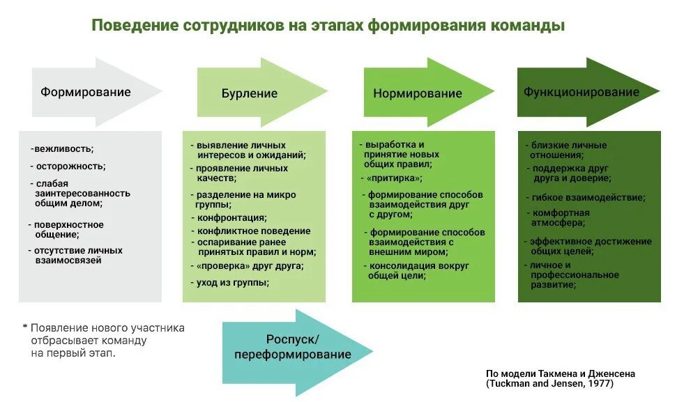 Модель эффективного поведения. Этапы формирования команды. Модель развития команды. Этапы формирования команды по Такману. Этапы становления команды модель Такмена.