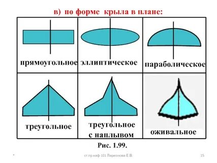 Виды крыла