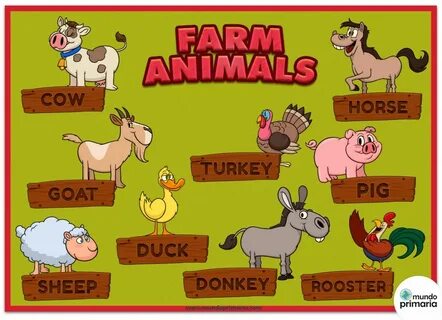There is pigs cows and sheep