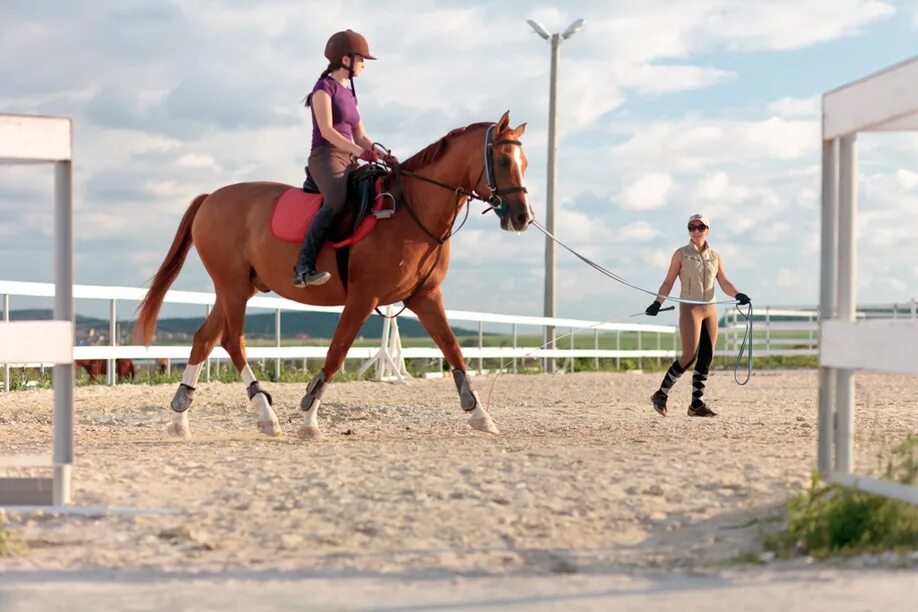 Уроки верховой езды. Тренер лошадей. Тренер верховой езды. Конный лагерь мюнстерланд. Верховая езда.