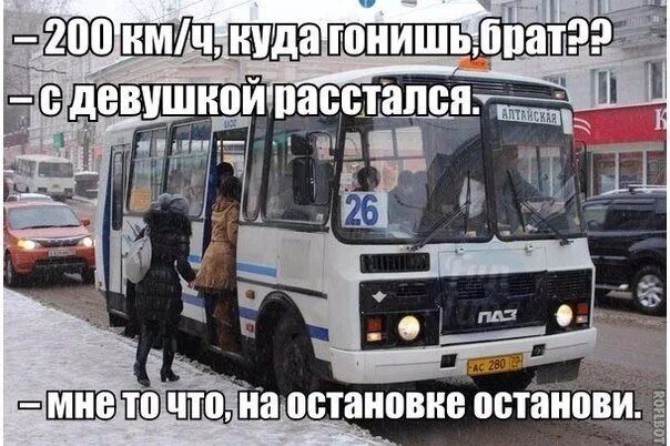 Куда идем куда торопимся