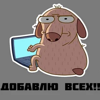 Заявку кину