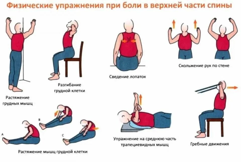 Что делать при болезненном. Комплекс упражнений при болях в грудном отделе позвоночника. ЛФК сколиоз грудного отдела позвоночника упражнения. Упражнения для снятия боли в грудном отделе спины. Упражнения при сколиозе шейного отдела позвоночника 1 степени.