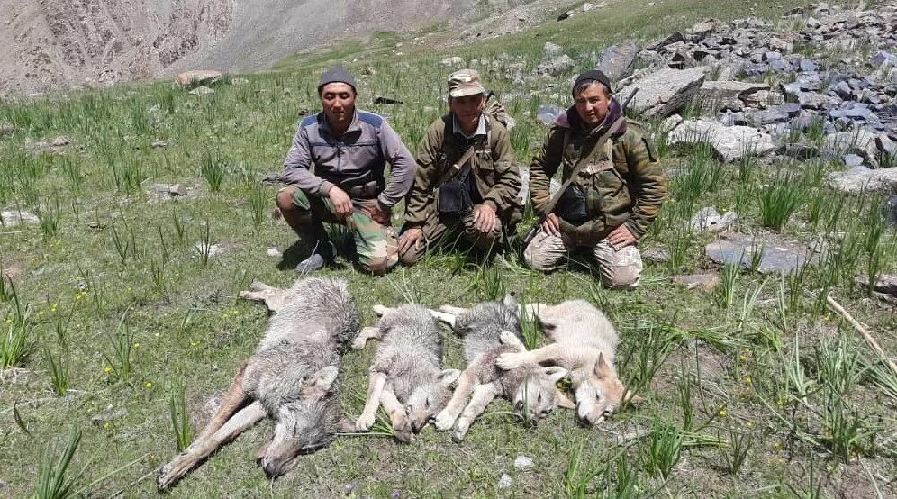 Охота на Волков Таджикистане.