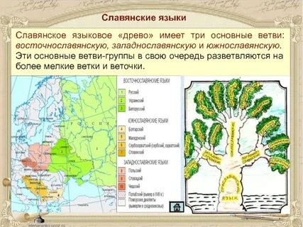 Южнославянская ветвь языков