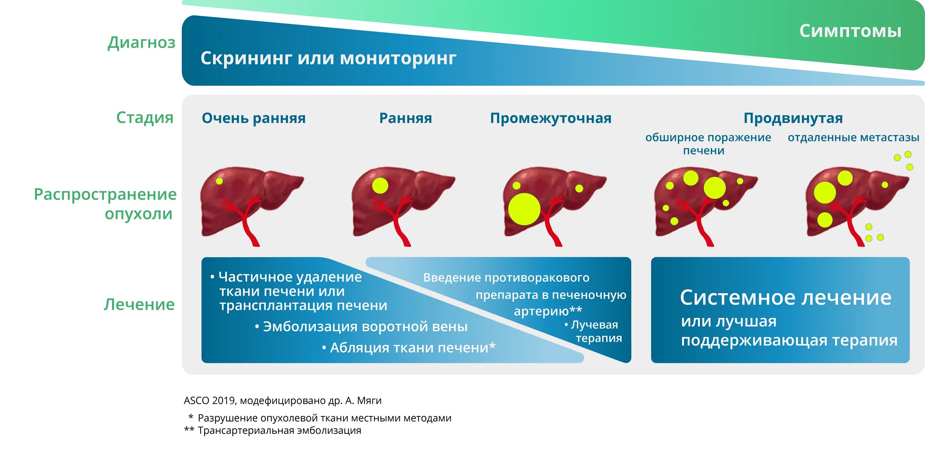 Новообразование в печени. Удаление опухолей печени