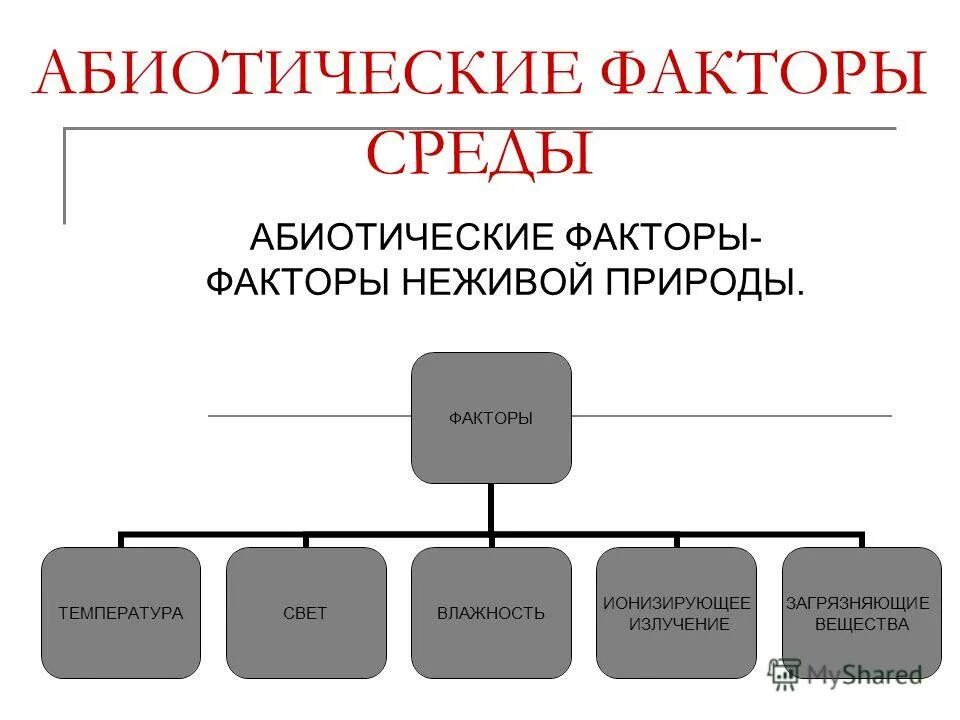 Что относится к абиотическим факторам среды. К абиотическим факторам относятся. К абиотическим факторам относят. К абиотическим факторам среды относятся. Абиотические факторы среды.