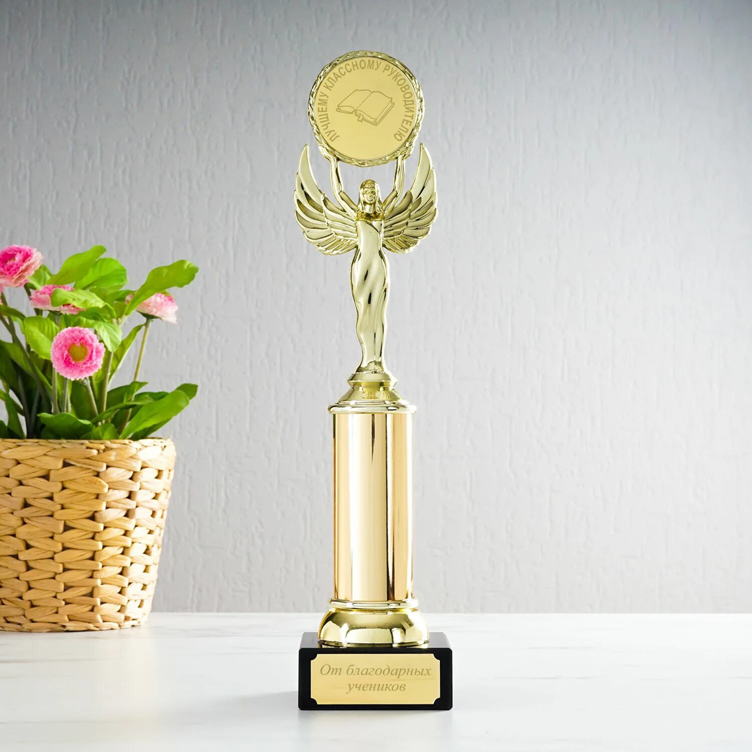 Статуэтки для номинаций. Вручение статуэтки. Награда лучший учитель года. Кубок учителю. Наградные статуэтки.