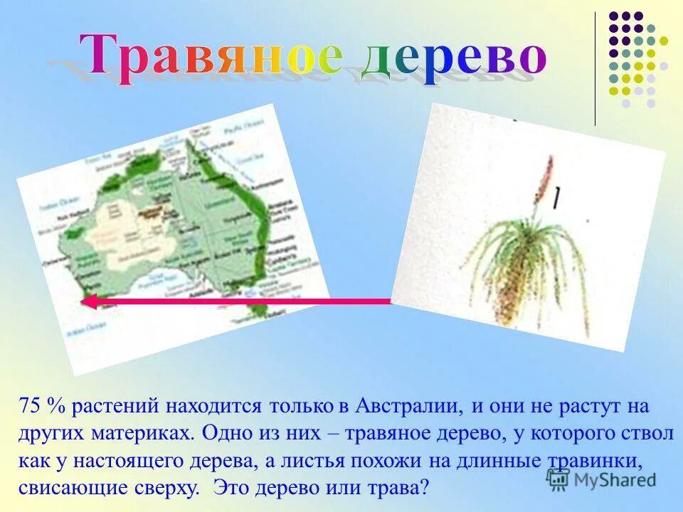 растительный мир австралии карта. эндемики это. животные и растительный мир австралии. растительный мир материков. растительный и животный мир материков.