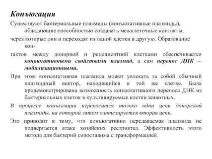 Свойства плазмиды бактерий