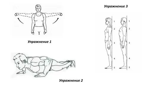 Упражнения для грудной клетки
