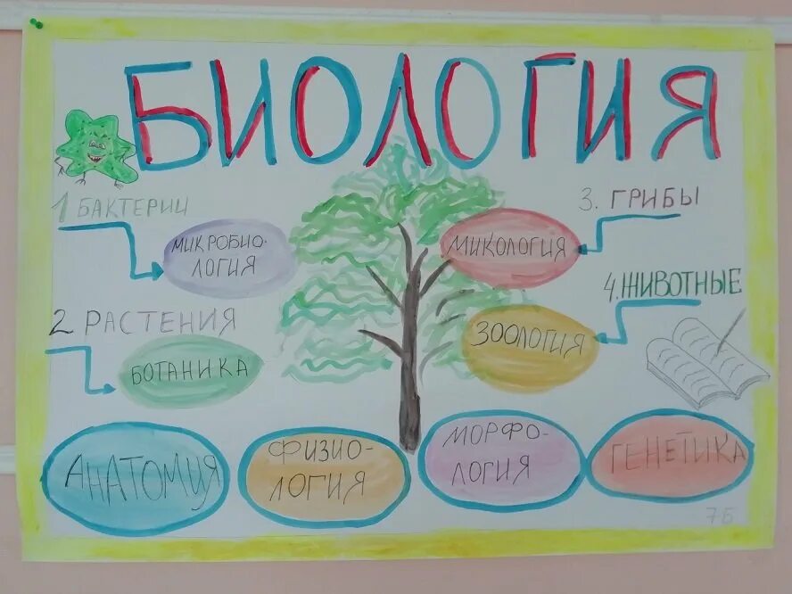 Неделя биологии 6 класс. Плакат по биологии. Газета по биологии. Стенд газета по биологии. Плакат на тему биология.