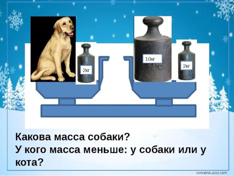 Собака стоит на двух лапах. Узнай по рисунку массу одного котенка. Масса одного щенка и одного котенка. Котенок и щенок весят 8 кг. Масса собаки на 10 кг.