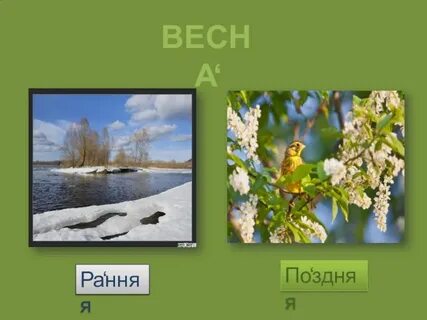 Ранний отличаться
