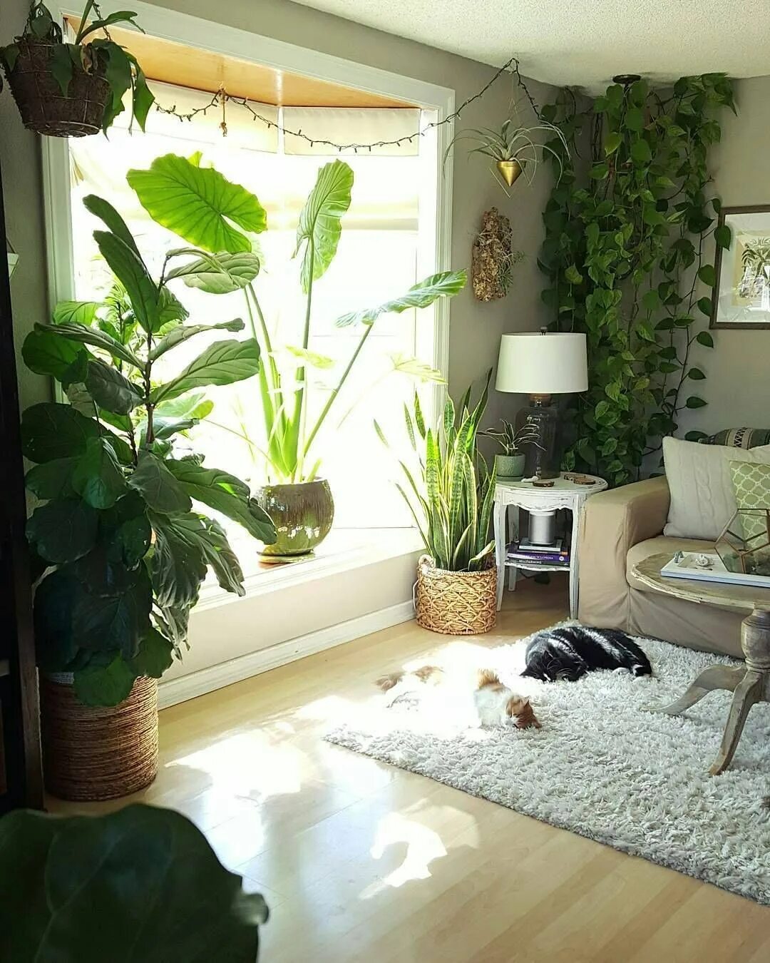 Комната без растений. Комната с растениями. Комнатные цветы в Интер. Комнатные растения в интерьере. Растения в интерьере гостиной.