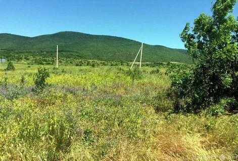 Участок под новороссийском
