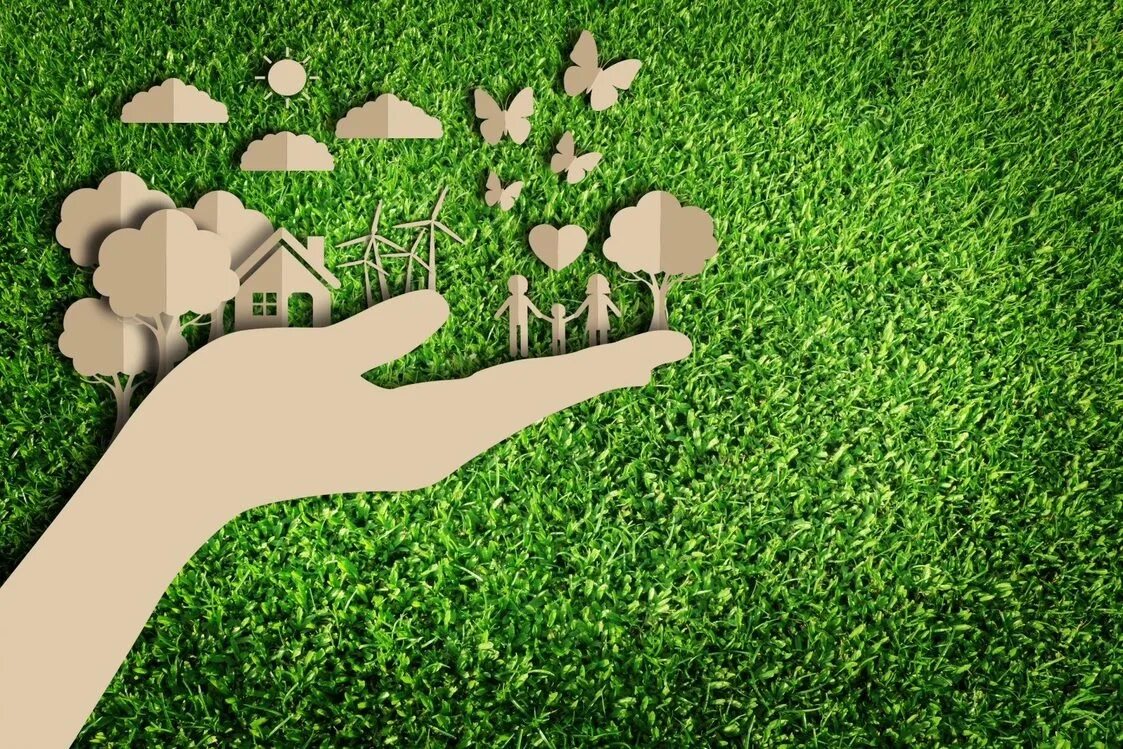 What nature friendly ideas started a new