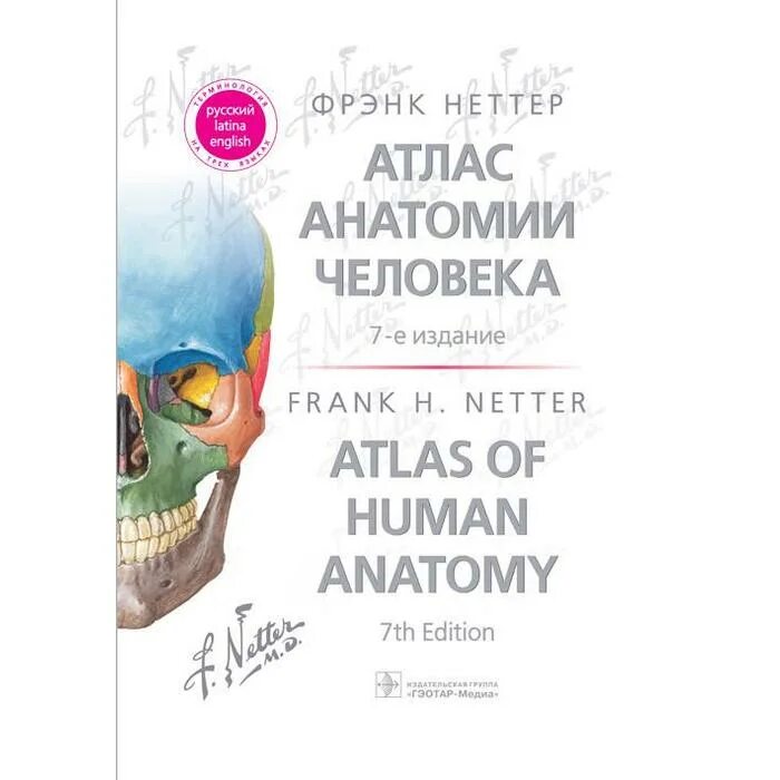 Фрэнк неттер атлас. Атлас Фрэнка Неттера 7 издание. Атлас анатомия человека Фрэнк Ниттер 7 издания. Фрэнк Неттер атлас анатомии. Атлас анатомии человека Фрэнк Неттер 7 издание.