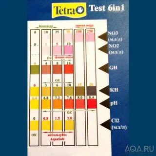 Тест 6 1 1