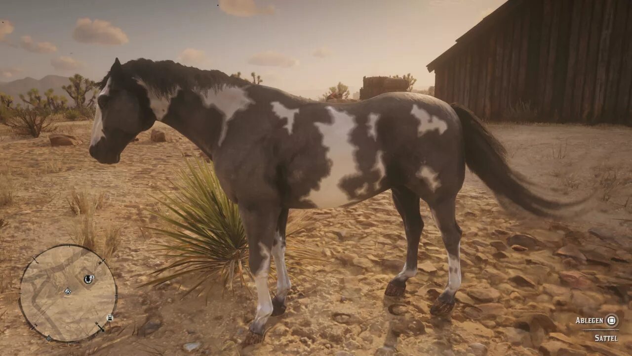 Рдр 2 пейнтхорс. Red dead redemption 2 аппалуза. аппалуза лошадь рдр2. red dead redemption 2 дикая аппалуза. red dead redemption 2 венгерская лошадь.