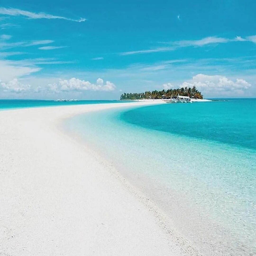 zanzibar-hamoc Beach hammock, Beach wallpaper, Palm trees
