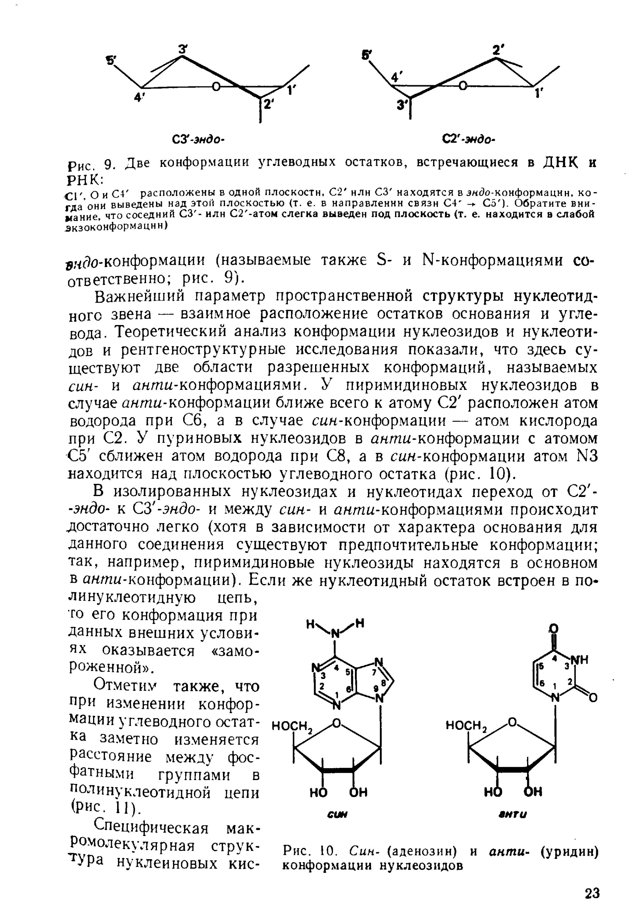 Конформация днк. Конформация нуклеозидов. конформация вторичной структуры днк. син конформация и анти конформация. конформационные изменения днк и рнк.